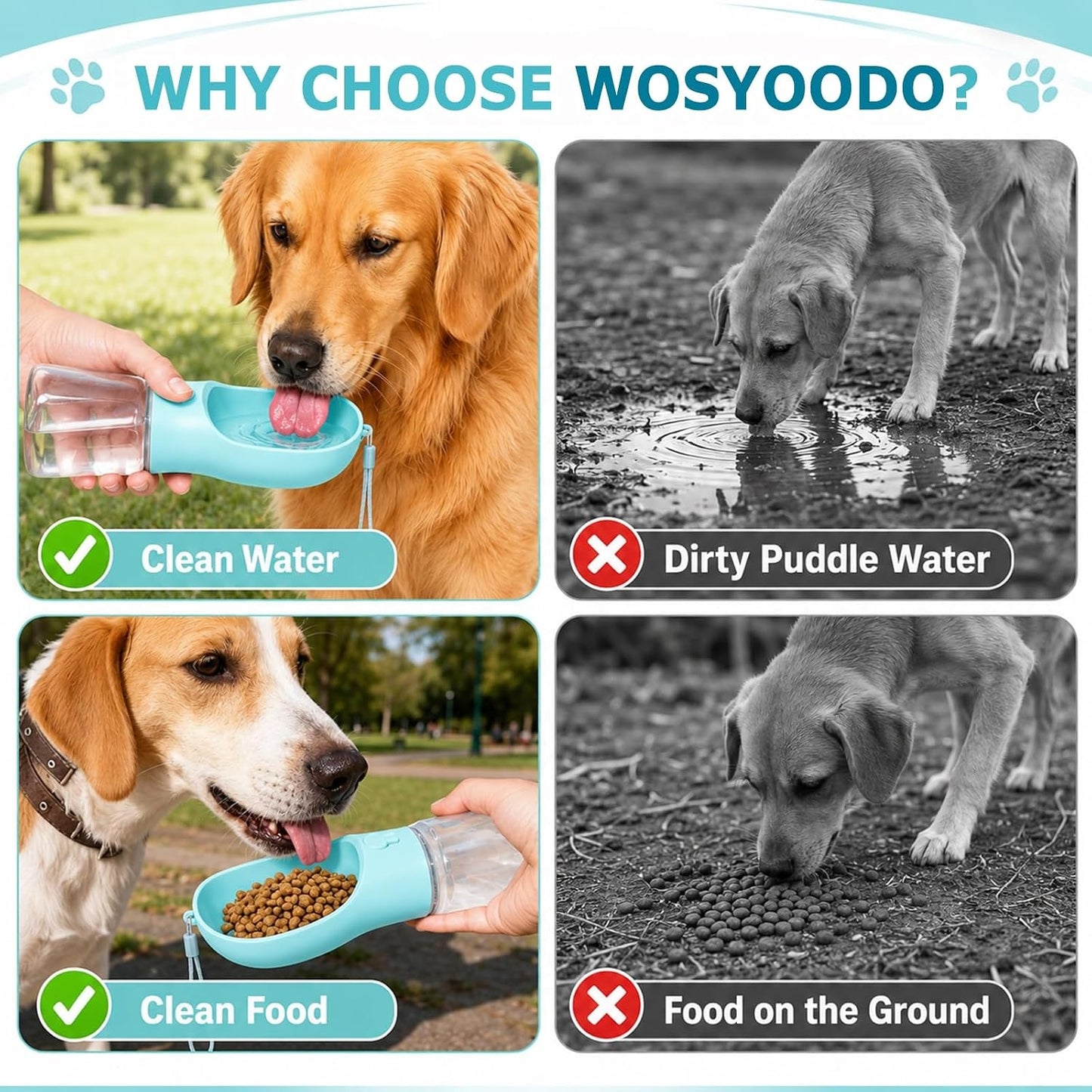 Dog Walking Bottle with Treat and Bag Holder