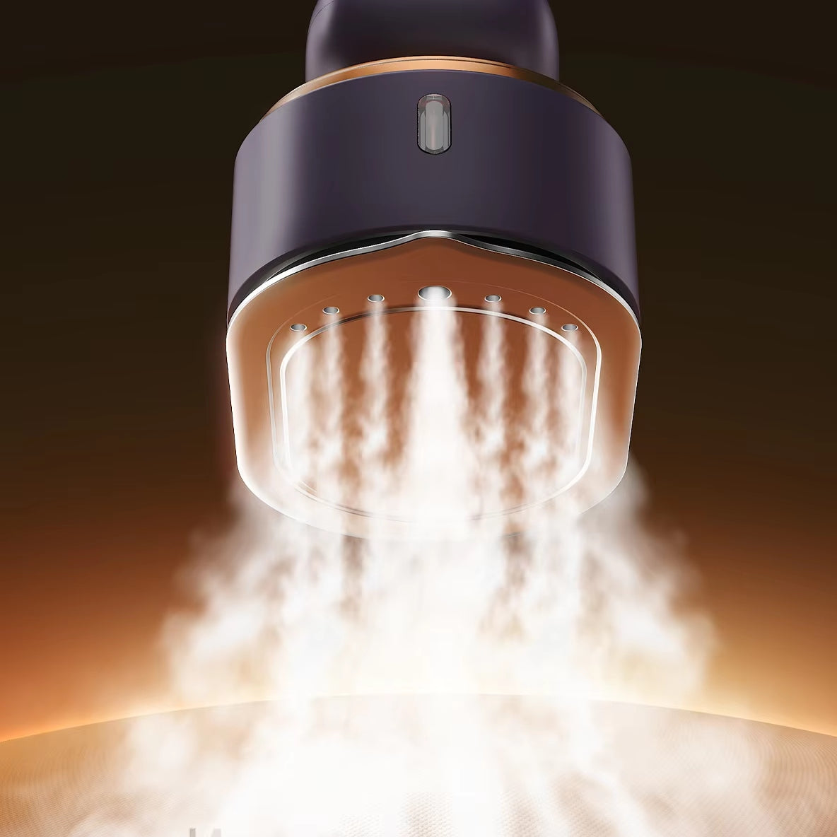 Handheld Steamer and Iron